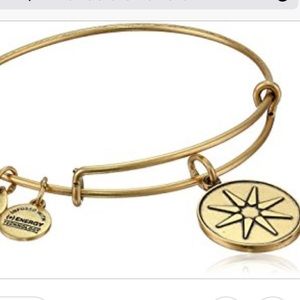 Discontinued Star of Venus Alex& ani gold bracelet